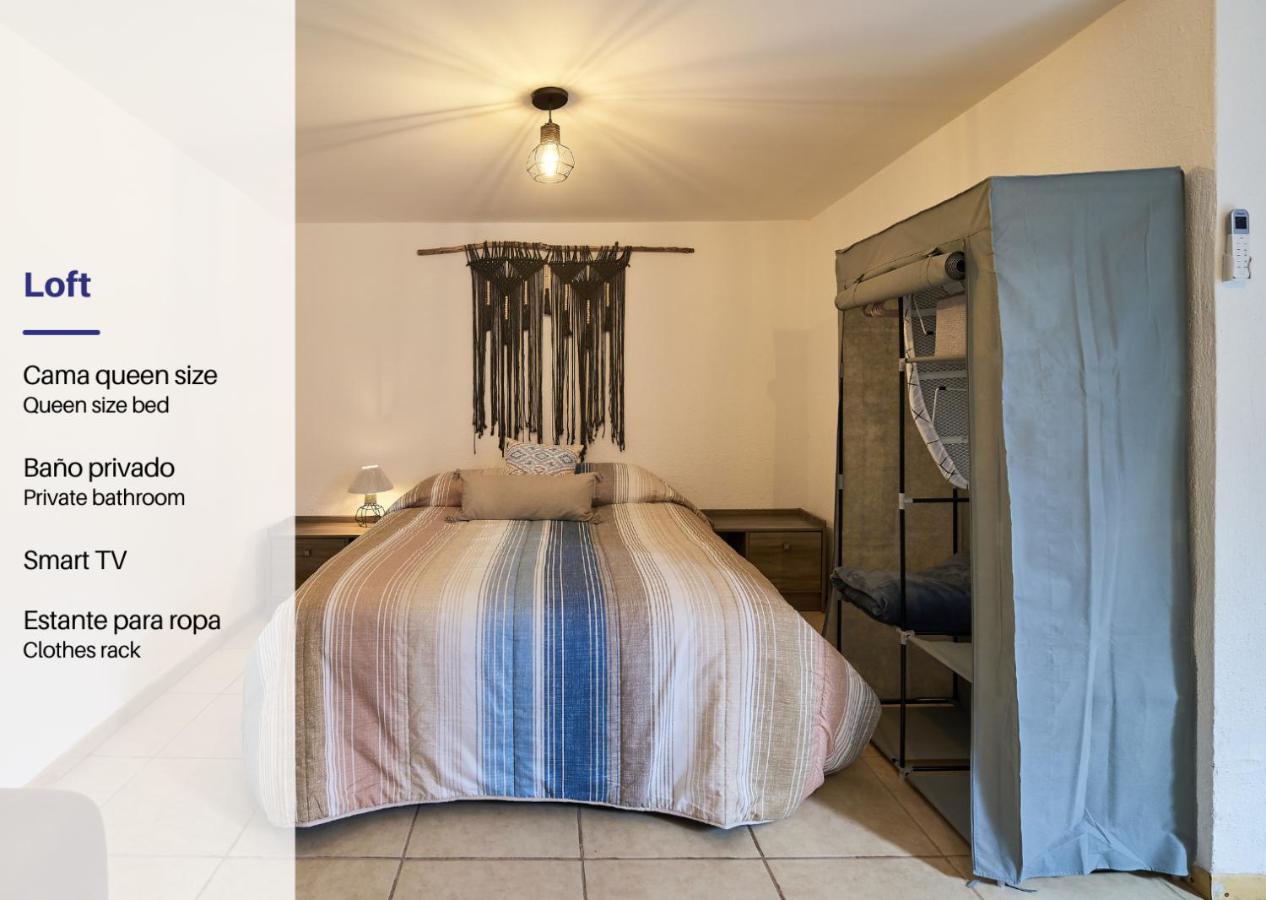 Cozy Studio In Roma Norte Mexico City Exteriör bild